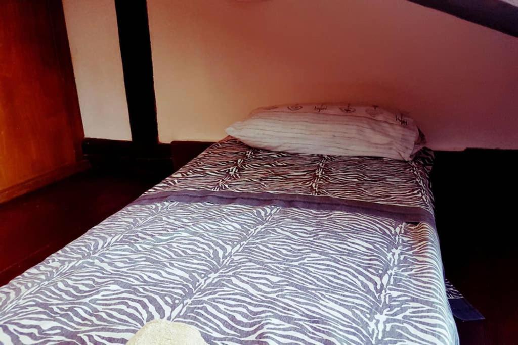 Large Top 3 Rooms Flat Central Rialto Velence Kültér fotó